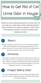 How To Get Rid Of Cat Urine Odor In The Air Cat Urine Cat Urine Smells Cleaning Cat Urine