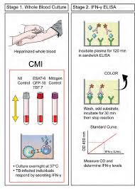 Early secreted antigenic target with molecular weight 6 kda (esat6), culture filtrate proteinwith molecular weight10 kda (cfp10). Figure 1 From Interferon Gamma Release Assays For The Diagnosis Of Latent Tuberculosis Infection An Updated Review Semantic Scholar