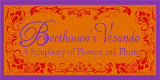 Aesthetic experience according to its phenomenological or representational content; Hoboken Florist Flower Delivery By Beethoven S Veranda