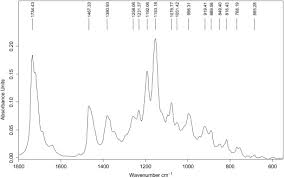 Image result for Eriocephalus ambiguus