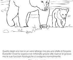 Disegni Dinverno Da Stampare E Colorare Disegni Di Animali Che Vanno In Letargo Da Colorare Download Disegni In Nel 2020 Disegni Disegni Di Cane Disegni Di Frutta