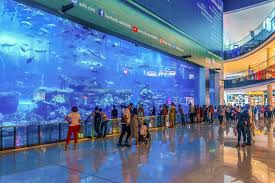 The dubai mall pořízené členy webu tripadvisor. Dubai Aquarium Dubai Mall Tickets Reviews