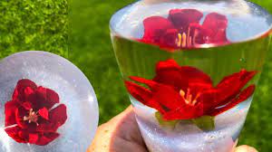 The clear material ensures that you'll be able to see all of the plants' fine details while. Diy Dried Flowers In Resin Art Resin 2019 Youtube