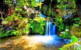 Images And Pictures Of Nature Animated Waterfall Moving Wallpapers Waterfall Wallpaper Screen Savers Wallpapers