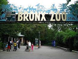 Bronx Zoo 2008 New York Vacation New York Travel Bronx Zoo