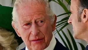 Ukrayna Rusiyaya qarşı ilk dəfə yeni dron tətbiq etdi: qiyməti və adı  heyrət doğurur