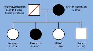 Climb The Kardashian Family Tree Celebrity Diagnosis