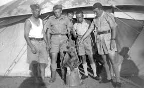 Image result for wojtek