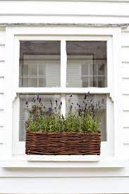 I Have A Plan For This Window Planter Boxes Window Box Lavender Planters
