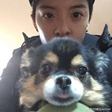 Asianaestheticbeauty Amber Liu Amber J Liu Amber