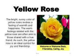 Maybe you would like to learn more about one of these? Roses
