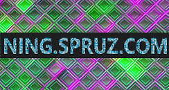 NING SPRUZ