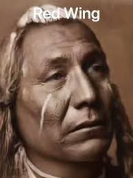 180 Native americans ideas