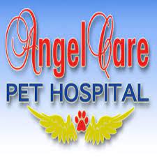 At angel pet hospital, a veterinarian you can trust will see your pet and. Angel Care Pet Hospital Home Facebook