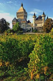 Vineyard Vufflens Le Chateau Monnaz Canton Of Vaud Switzerland Beautiful Castles Castle Medieval Castle