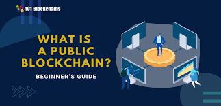 It removes the need for middlemen in transactions which leads to faster processes, reduced costs, and greater data accuracy. What Is A Public Blockchain Beginner S Guide 101 Blockchains
