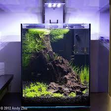 Image Result For Aquascaping 5 Gallon Tank Betta Aquarium Aquarium Landscape Aquarium Fish Tank