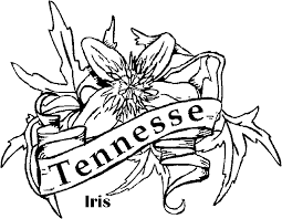 Provides maps, facts, state symbol coloring pages, poems, word searches, printable worksheets, games, book reviews, scramblers, puzzles and trivia for a complete unit of study. Tennessee State Tree Coloring Pages Flower Coloring Sheets Tree Coloring Page Flower Coloring Pages