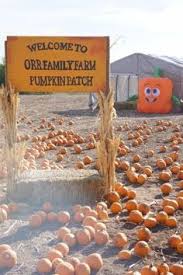 We did not find results for: 15 Pumpkin Picking Oklahoma Agritourism Ideas Pick Your Own Pumpkins Pumpkin Picking Agritourism