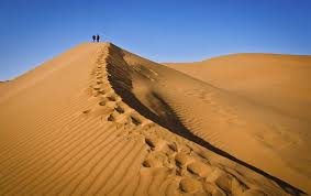 Wood road at xinjiang desert,western china stock image. Couples Shield Desert Highway In Xinjiang From Shifting Sands Shanghai Daily