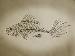 Fishbone Art Design Pencil Doodle Drawing Fish Bone Sketch Fish Bone Tattoo Bone Tattoos Skeleton Drawings