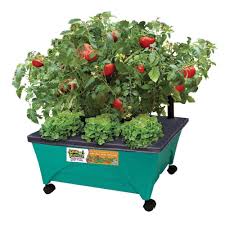 Pin By The Home Depot On Gifts For Kids Patio Raised Garden Beds Raised Garden Beds Garden Bed Kits