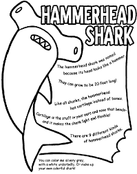 Coloring pages pictures of sharks to draw. Hammerhead Shark Coloring Page Crayola Com