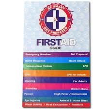 First Aid Mini Flip Chart