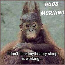 When you prefer tuesdays to mondays because they are better. Good Morning Meme Funny Tuesday Meme Funny 15 Pics Unkleaboki Diary