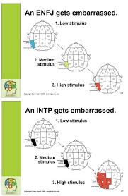 Plumbingthedepths Based On Eeg Scans Showing The Intp Is Oblivious To Social Appropriateness Until The Stimulus Re Intp Intp Personality Type Intp Personality