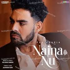 Nagina Noor's Instagram, Twitter & Facebook