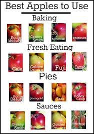 Guide To The Best Apples To Use In Cooking And Baking Not A Recipe But A Good Reference Cooking And Baking Recipes Fruit Recipes