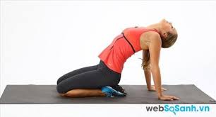 6 bài tập cổ và vai tại chỗ cho dân văn phòng ngồi nhiều | websosanh.vn