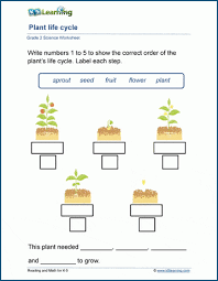 Check our year 1 science video lessons if you get stuck. Science Worksheets For Grade 2 Plants Science Worksheets For Grade 2 Plants Primaryleap Co Uk Plants Worksheet Plants Worksheets Register Online For Ncert Solutions Class 7 Science Tuition On Vedantu Com