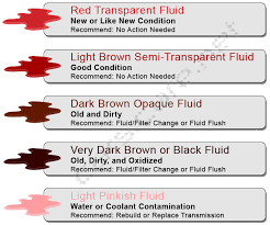 Tiger woods has said in the past he carries as many as 16 gloves in his bag for each round and starts each round with a new glove on the 1st tee. How Often Should You Change Transmission Fluid