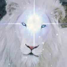 Pin By Sebastien Cote On Animals In 2020 Lions Gate Archangel Michael Archangels