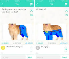 If Dogs Wore Pants If a human centipede wore pants would it wear them like this? if dogs wore pants