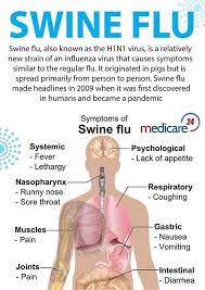 Swine Flu Symptoms Vaalweekblad