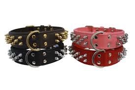 Amsterdam Spiked Leather Dog Collar Angel Pet Supplies