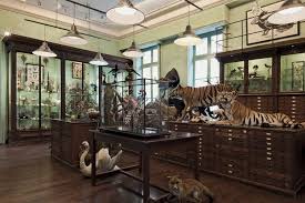 Dans Le Quartier De Sevres Babylone La Tres Ancienne Maison Deyrolle Est A La Fois Un Cabinet De Curiosites Un Musee De La Visit Paris Museum Interior Paris