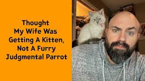 Here Comes The Sun Beatles in Female Key Karaoke Instrumental