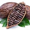 Der international anerkannte staatschef der elfenbeinküste, ouattara, hat ein exportverbot für kaffee und kakao angeordnet. 3
