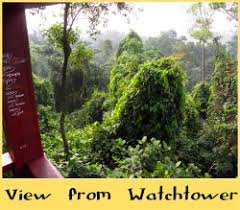 Bukit gasing forest park, 46000 petaling jaya, selangor, malaysia. Bukit Gasing Forest Park A City Jungle Trail