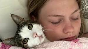 Tierische Schnappschüsse: Der beste Freund des Menschen ist und bleibt das  Haustier