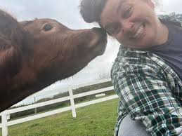 How to fix a leaky chicken coop?