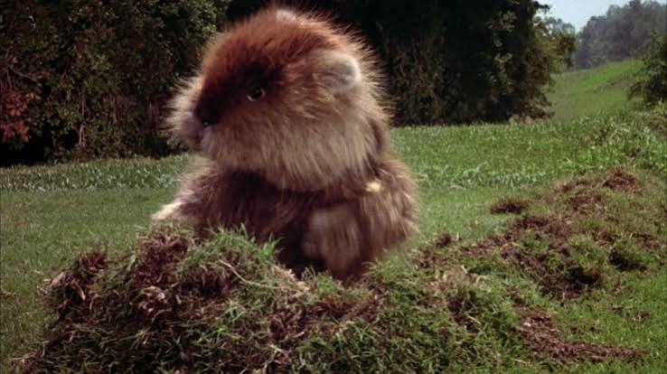 Caddyshack (1980) + Funny Farm (1988)/Spies Like Us (1985) [Comedy Double  Feature] - Blu-ray Discs - FILM FREAK CENTRAL