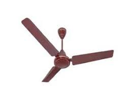 Havells Pacer 1200mm Ceiling Fan Brown At Rs 1878 Ceiling Fan Ceiling Fan