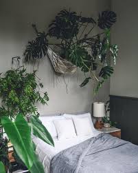 50 Astonishing Indoor Garden Ideas With Pictures Yhmag
