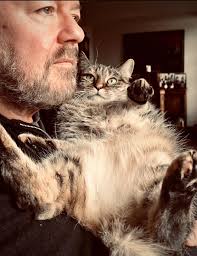 Friends who like Felix and Bolt, the Huddersfield Station cats