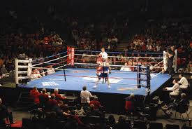 Jul 02, 2021 · dubois, who has been pushing for her olympic dream since she was a child, will be the youngest athlete on the team gb boxing roster this year. Boxing Rings Girlboxing